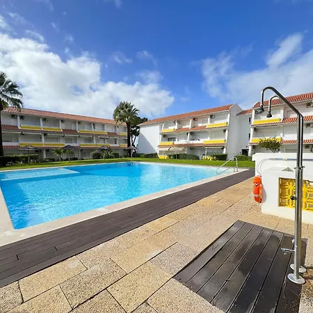 Nautilus With Pool By Homing *